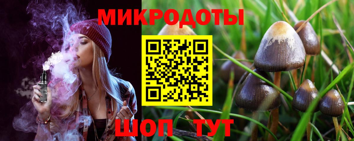 Галлюциногенные грибы Psilocybe Обнинск